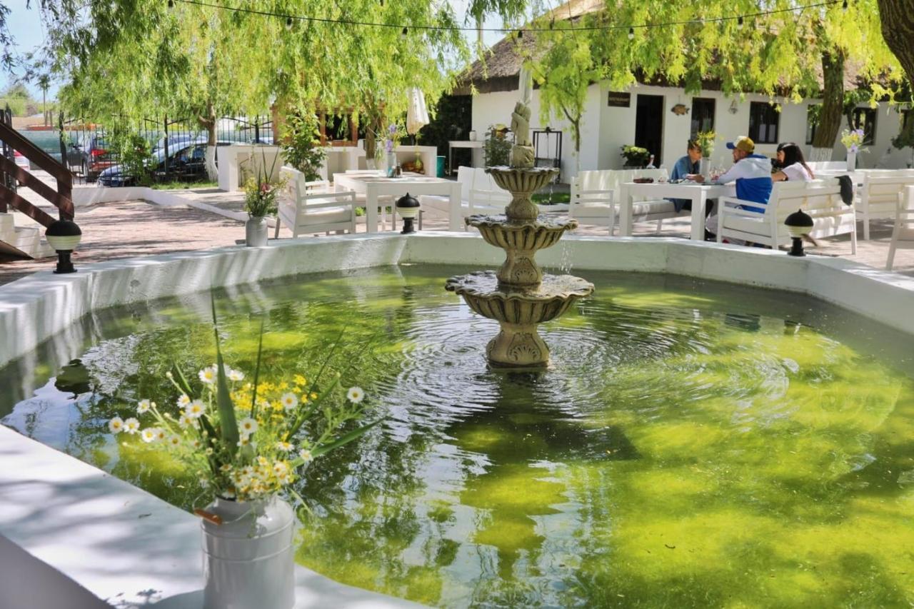 La Salcia Linistita - Guest house