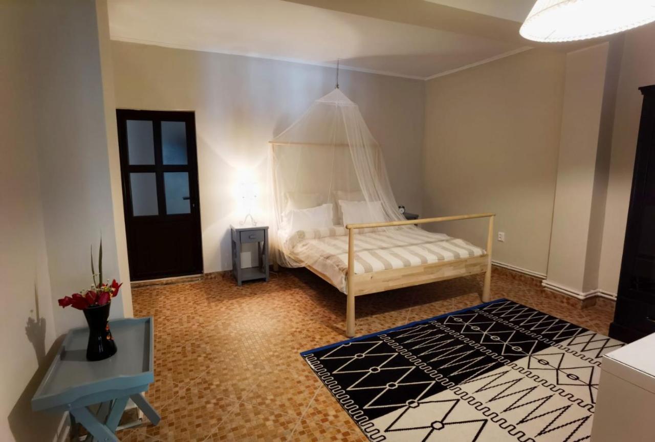 La Salcia Linistita - Guest house Murighiol